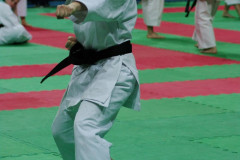 IMGP8469