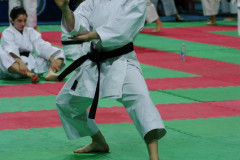 IMGP8470