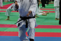 IMGP8483