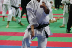 IMGP8484