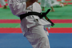 IMGP8488