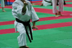 IMGP8498
