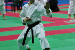 IMGP8502