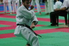 IMGP8505