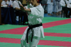 IMGP8516