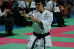 IMGP8517
