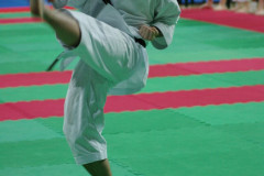 IMGP8525