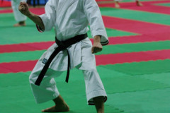 IMGP8533