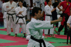 IMGP8603