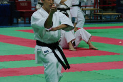 IMGP8610