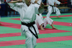 IMGP8611