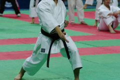 IMGP8616