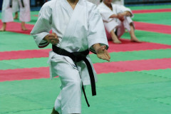 IMGP8618