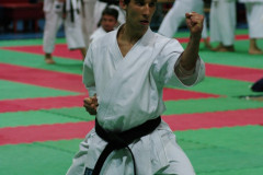 IMGP8619