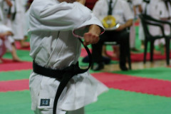 IMGP8620