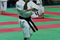 IMGP8624