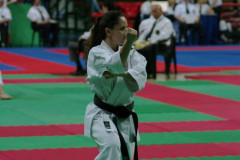 IMGP8627