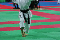 IMGP8634