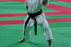 IMGP8637