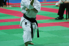 IMGP8641