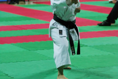 IMGP8642