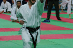 IMGP8661