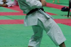 IMGP8663
