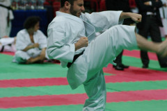 IMGP8683