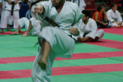 IMGP8685