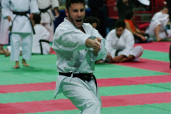 IMGP8687
