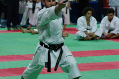 IMGP8689