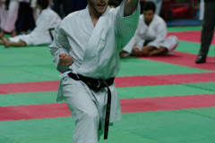 IMGP8691