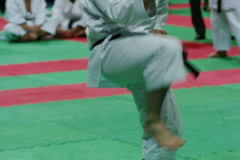 IMGP8693