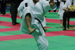 IMGP8696