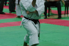 IMGP8697