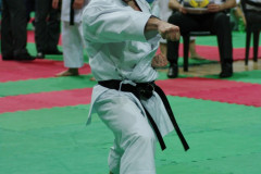 IMGP8698